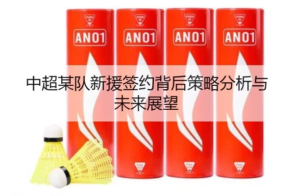 中超某队新援签约背后策略分析与未来展望